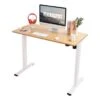 FlexiSpot 48"x24" Whole Piece Desktop Home Office Standing Desk Height Adjustabel Desk Computer Desk - Maple