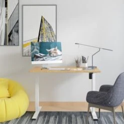 FlexiSpot 48"x24" Whole Piece Desktop Home Office Standing Desk Height Adjustabel Desk Computer Desk - Maple -Office Storage Sales 3914ebed 1de1 4265 bb74 3d57a5405755