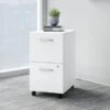 Easy Office 2 Drawer Mobile File Cabinet By Bush Business Furniture - White