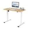 FlexiSpot Electric Home Office Height Adjustable Standing Desk Whole Piece Desktop Computer Desk 2-Button Controller - 40"x24" - White And Maple