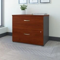 Series C 2 Drawer Lateral File Cabinet By Bush Business Furniture - Hansen Cherry/Graphite Gray