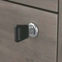 Homestead Farmhouse Lateral File Cabinet By Bush Furniture - Linen White Oak 30 Homestead Farmhouse Lateral File Cabinet By Bush Furniture - Linen White Oak -Office Storage Sales ecab0907 d395 4688 9662 d3b581faafe1